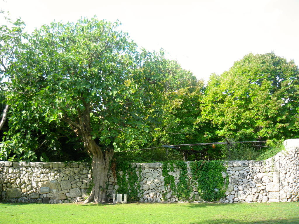 Tenuta Sant'Andrea Giuggianello 외부 사진